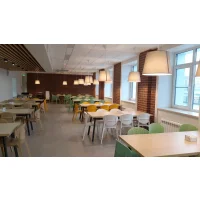 Стул Sheffilton SHT-S111-CN1 с мягкой подушкой из кож.зама