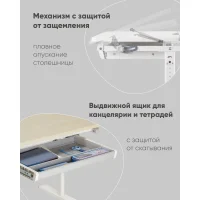 Парта растущая E601 белый