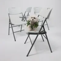 Стул садовый складной со спинкой, белый, hdpe-пластик