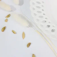 Тарелка глубока DELICATE, фарфор, белый, 20,3*3,8см