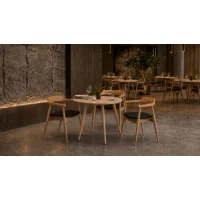 Стул Sheffilton SHT-S204