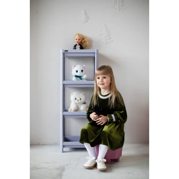 Стеллаж Sheffilton SHT-SS25-4