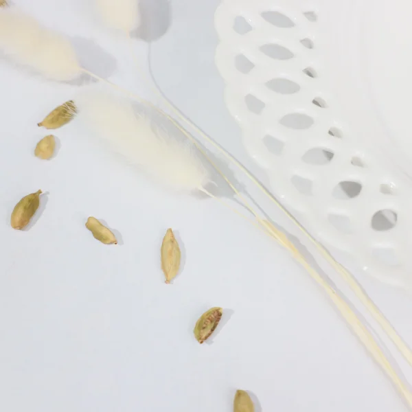 Тарелка глубока DELICATE, фарфор, белый, 20,3*3,8см